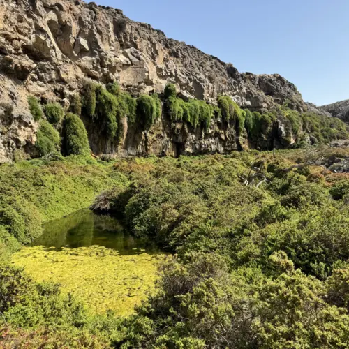 IMG_4380barranco los molinos trail_result